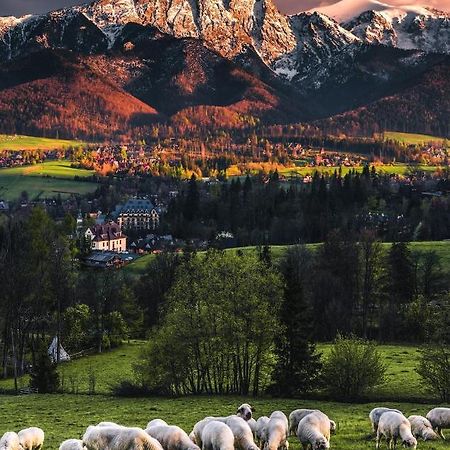 Villa Jumper Widok Na Cale Tatry Lazienka Nie Jest W Pokoju ซาโกปาเน ภายนอก รูปภาพ