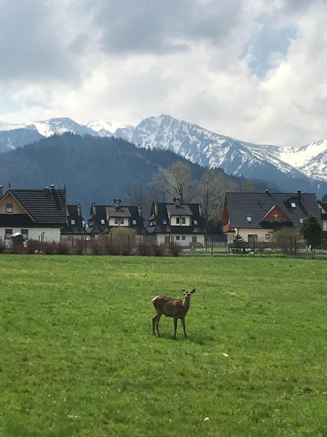 Villa Jumper Widok Na Cale Tatry Lazienka Nie Jest W Pokoju ซาโกปาเน ภายนอก รูปภาพ