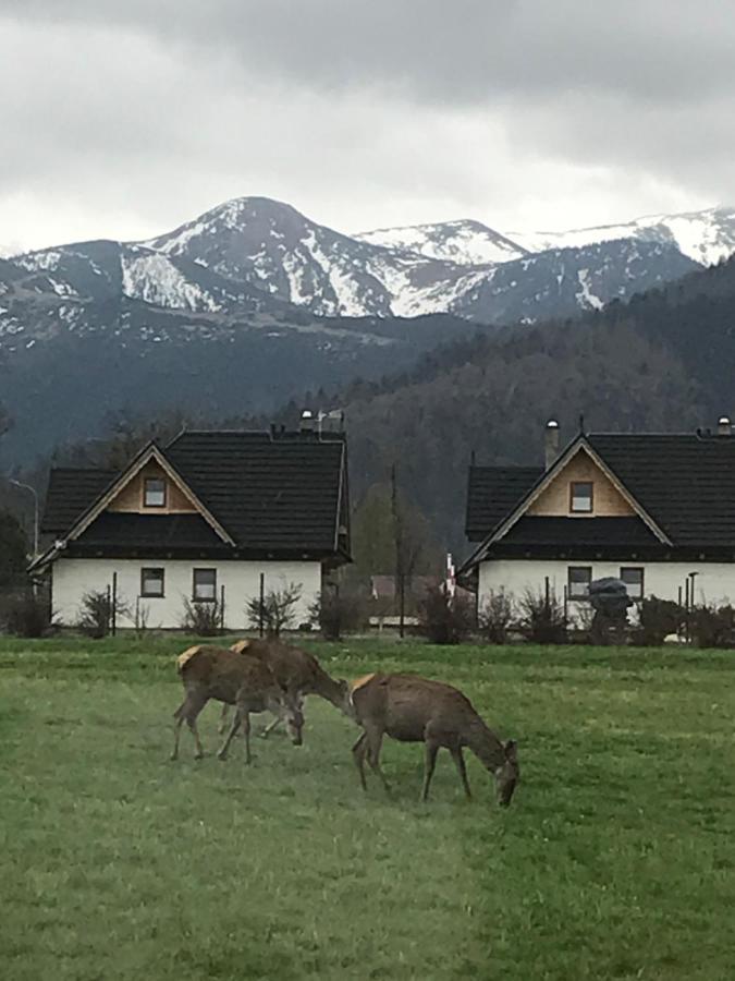 Villa Jumper Widok Na Cale Tatry Lazienka Nie Jest W Pokoju ซาโกปาเน ภายนอก รูปภาพ